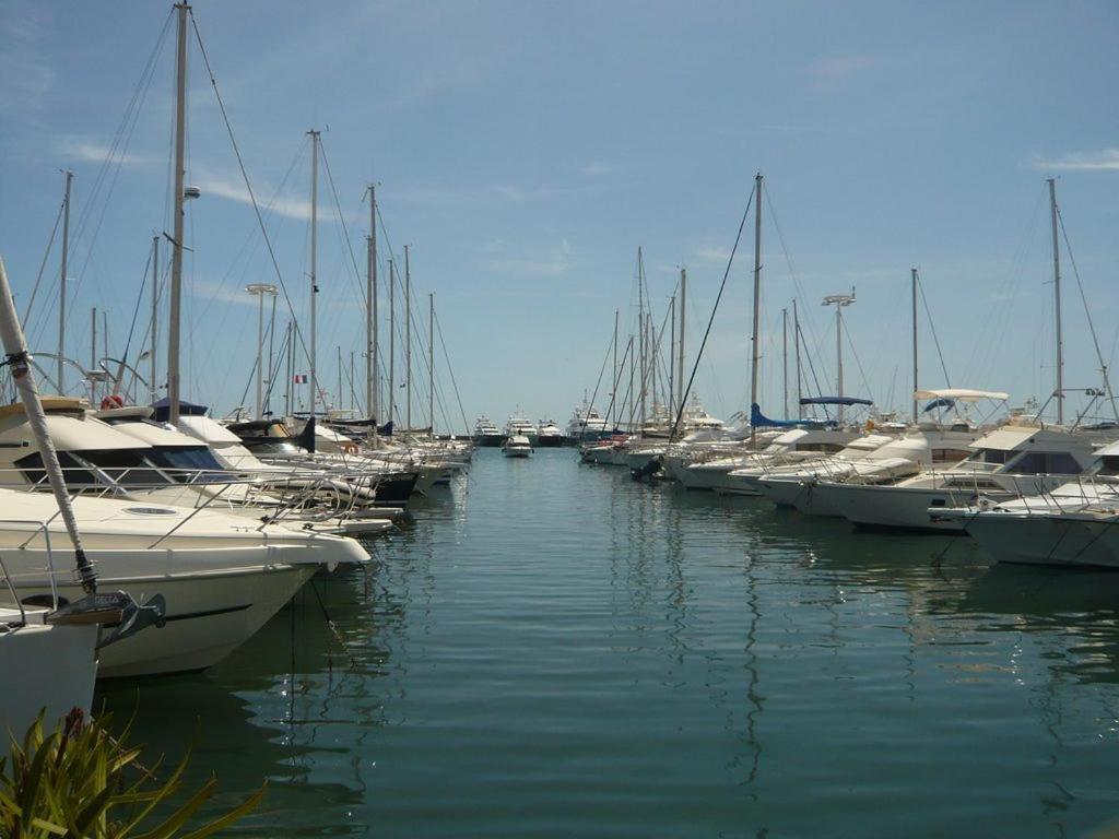 Charmant 2P Vue Mer Face Au Port De Golfe Juan Dış mekan fotoğraf